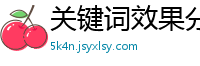 关键词效果分析公司